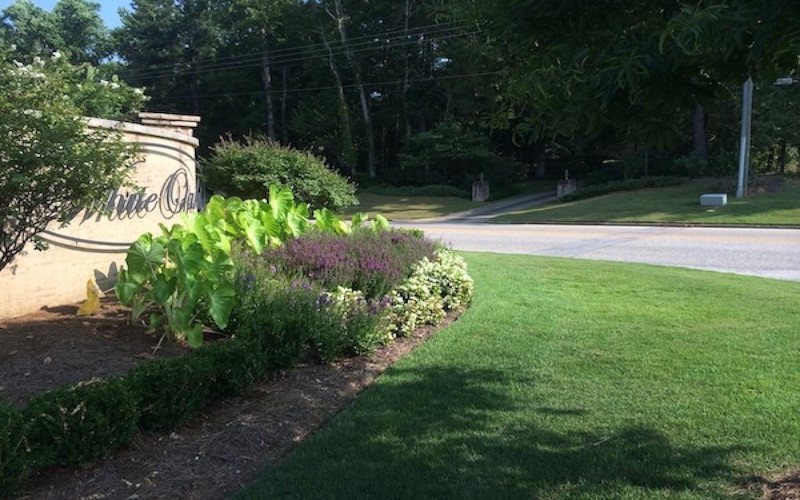 Commercial Lawn Care & Shrub Care